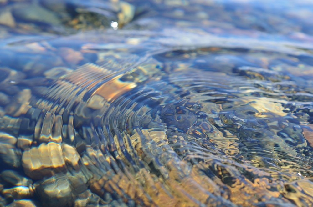 Water Stewardship